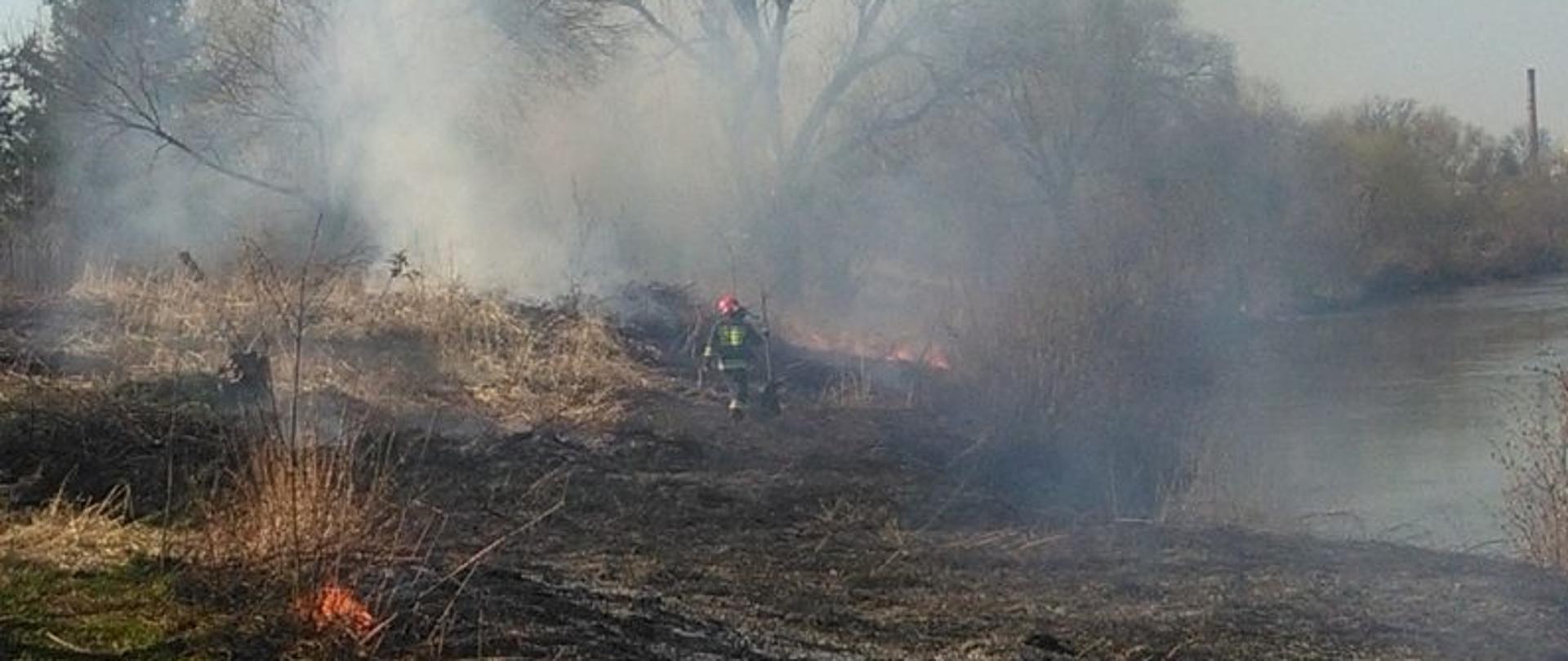 Zdjęcie przedstawia strażaka gaszącego pożar suchej trawy