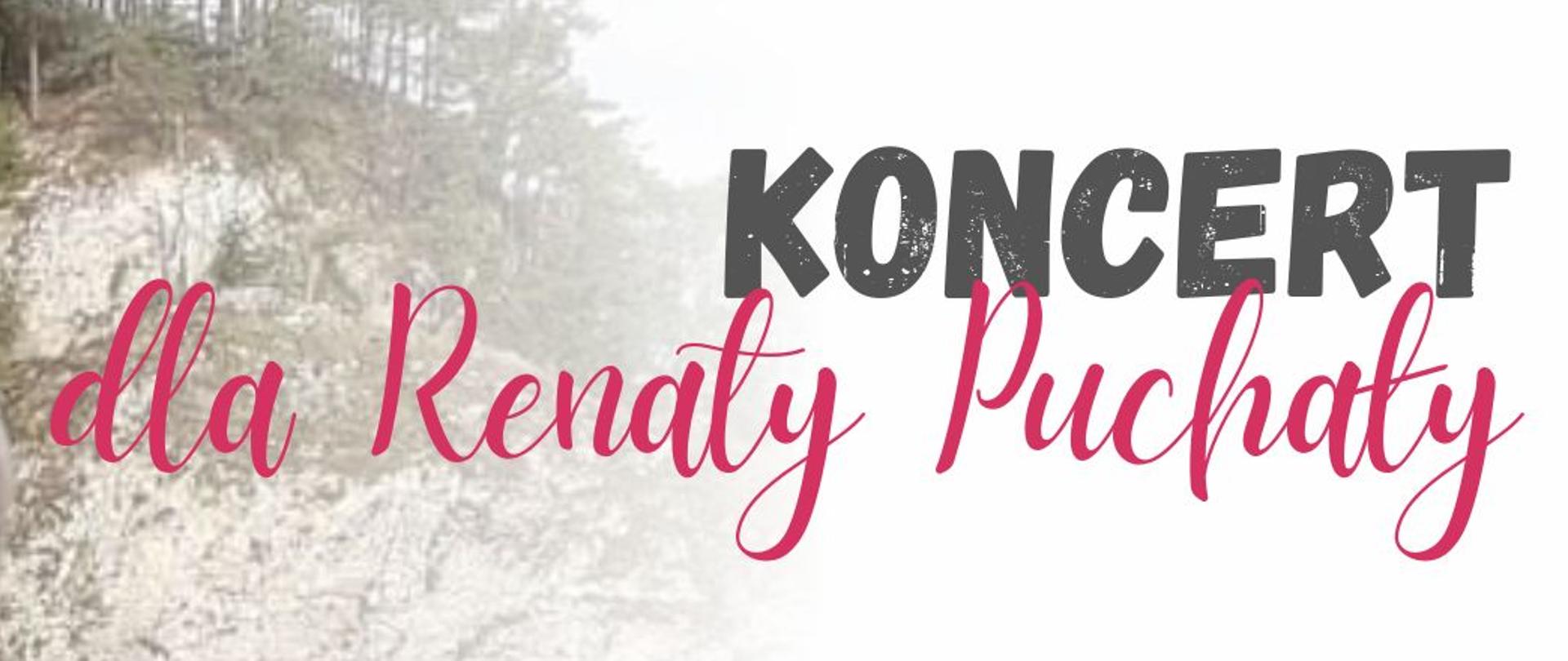 Na tle gór zdjęcie Renaty Puchały, dla której Zespół Szkół Muzycznych zorganizował koncert. Na plakacie znajdują się informacje o dacie, miejscu, godzinie o raz wykonawcach koncertu. Na dole umieszczone jest logo szkoły