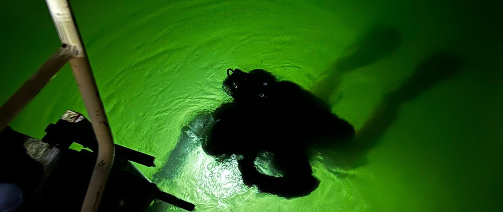 Nurkowie pilskiej SGRW-N z nowymi kwalifikacjami