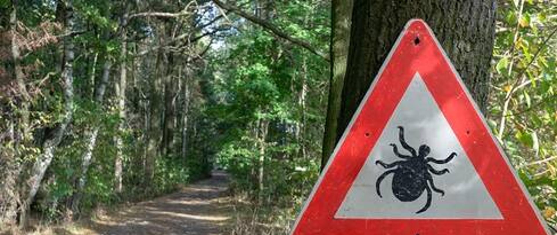 znak drogowy z kleszczem