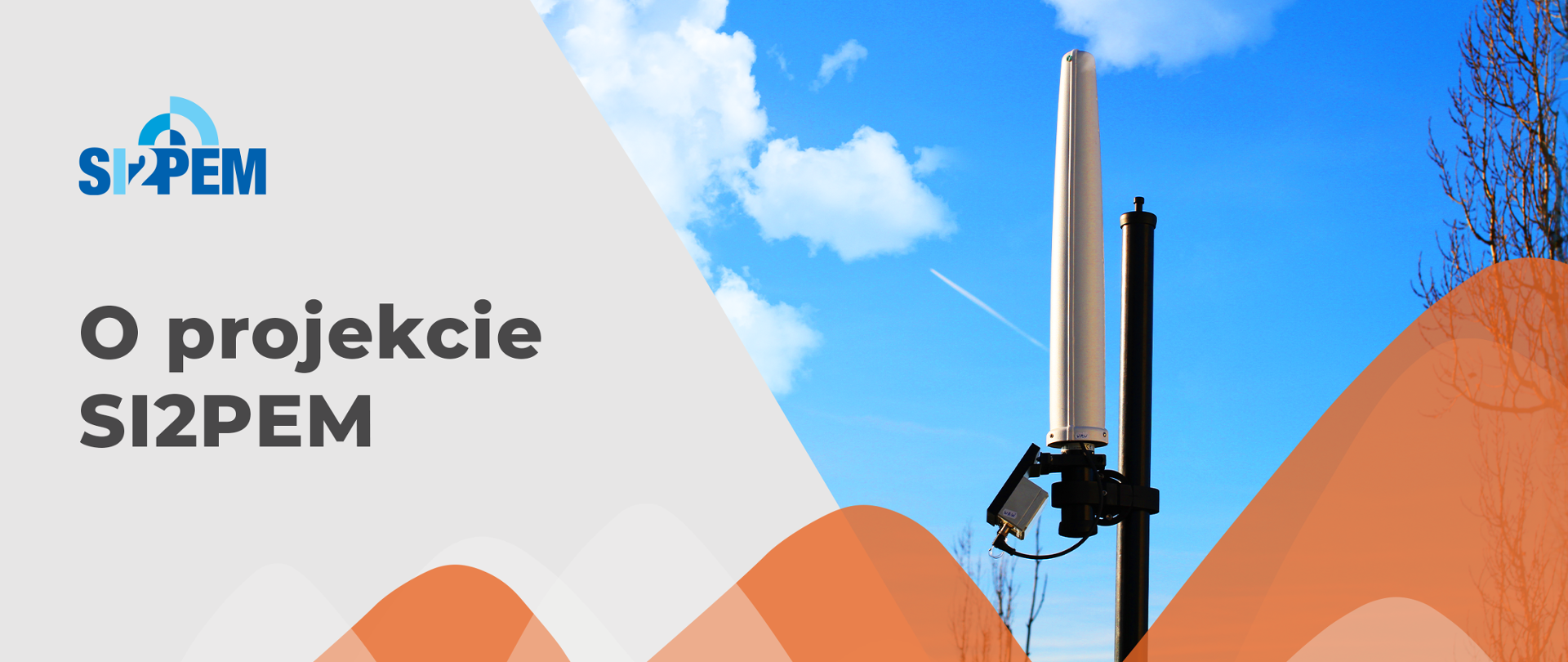 Element dekoracyjny.