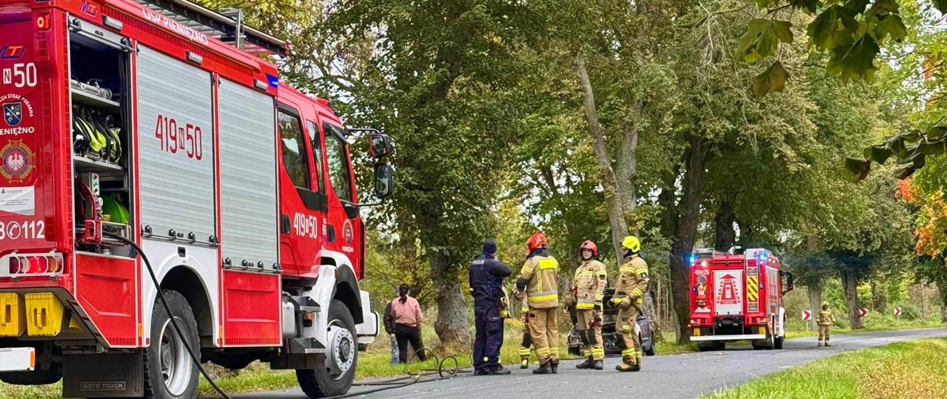 Zdjęcie zrobione z pobocza drogi. Na drodze z lewej strony zdjęcia stoi samochód strażacki i w oddali kolejny. Na drodze strażacy. Zielona trawa na poboczu i drzewa.