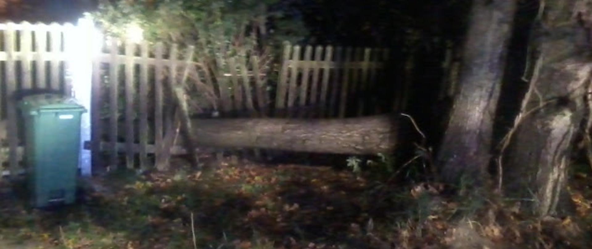 Zdjęcie przedstawia przewrócone drzewo