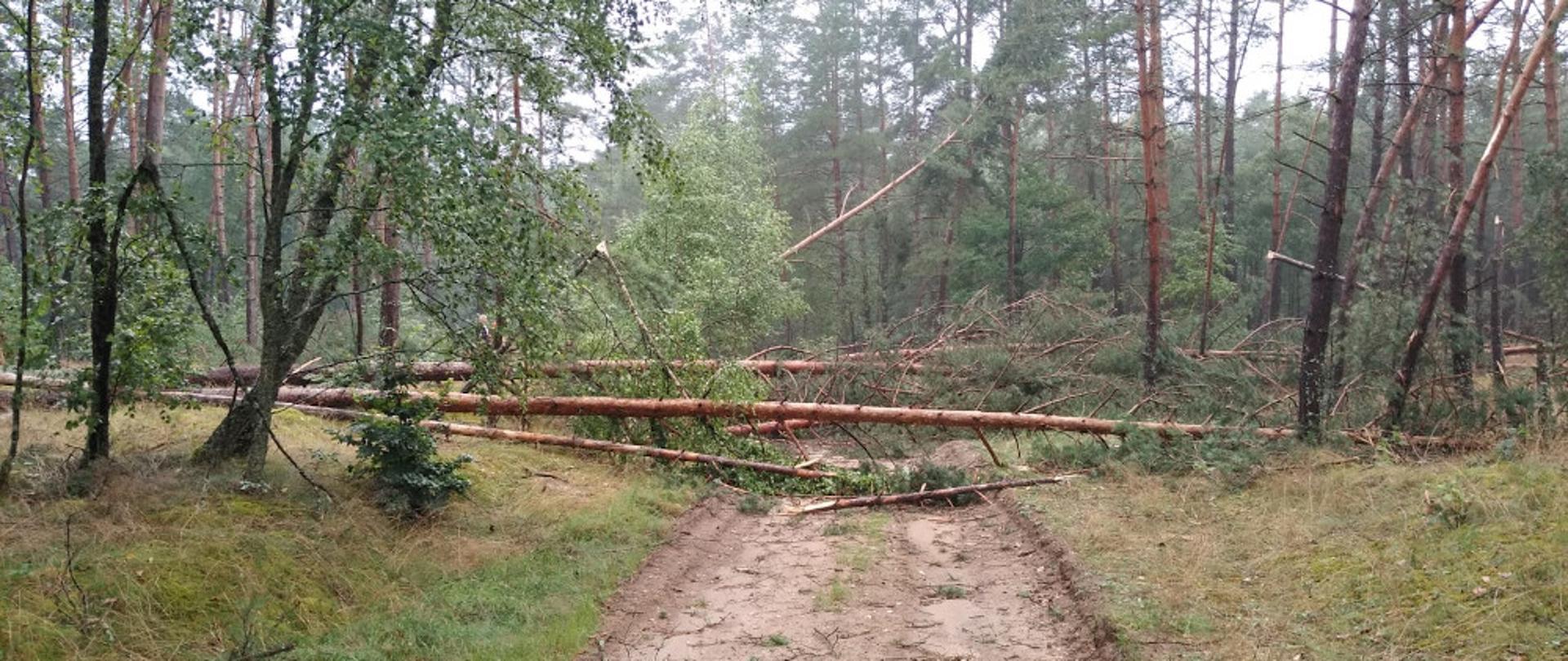 Niespokojna niedziela w powiecie szczecineckim