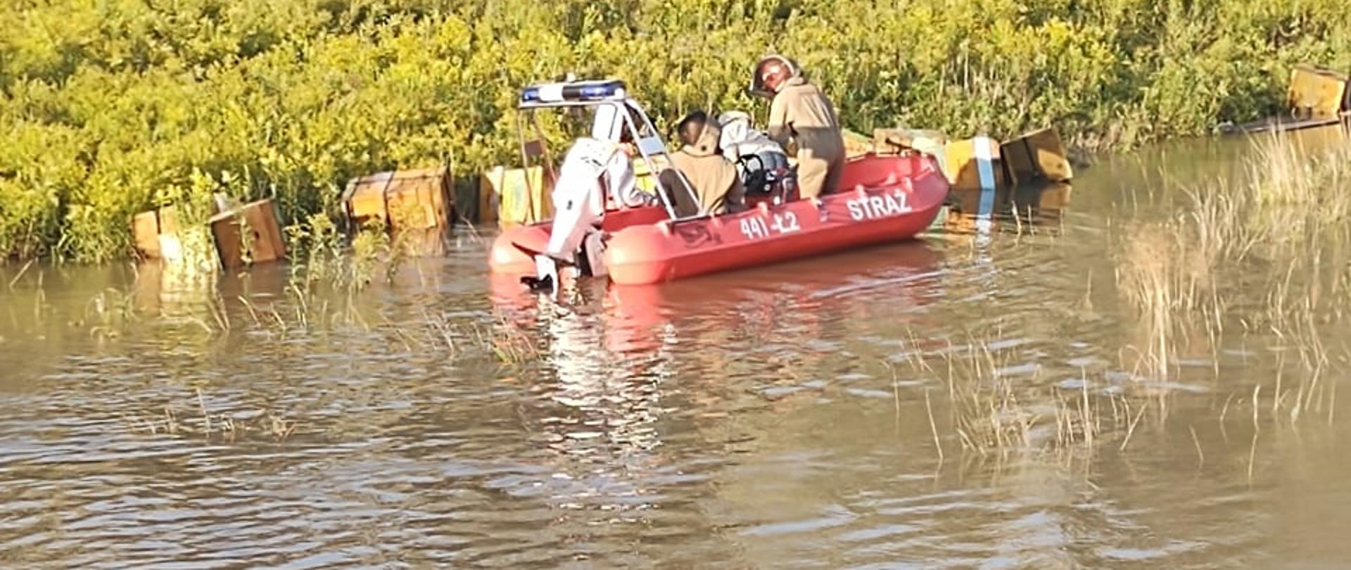 Zdjęcie przedstawia międzywale na którym znajdują się kwiaty nawłoci oraz drzewa. Międzywale zalane jest wodą. Strażacy wyposażeni w ubrania pszczelarskie oraz kamizelki ewakuują przy pomocy łodzi pnie pszczele.