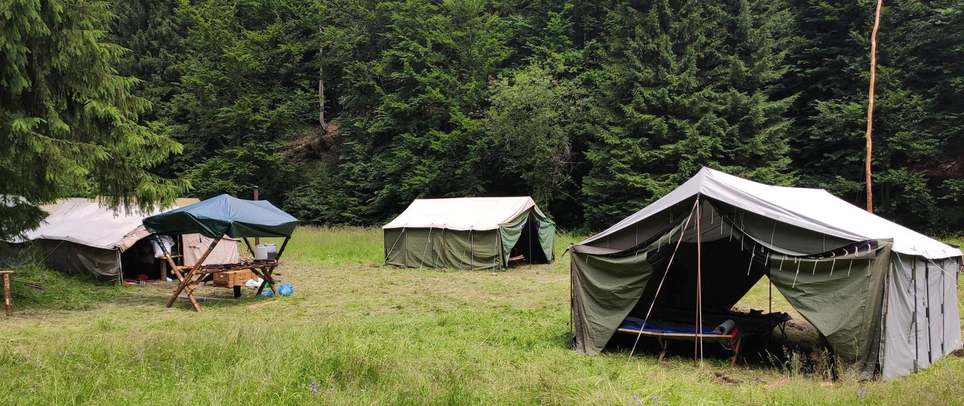 Namioty w lesie