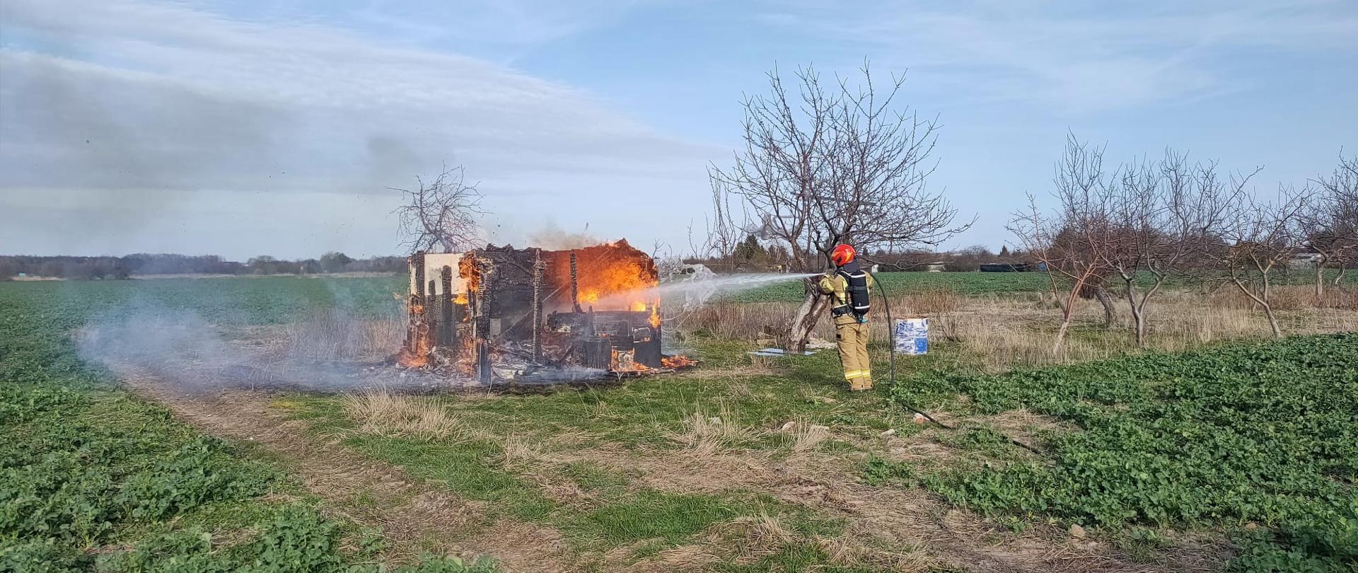 Strażak gasi płonąca drewniana altankę. Wokół zielone pola. Niebieskie niebo.