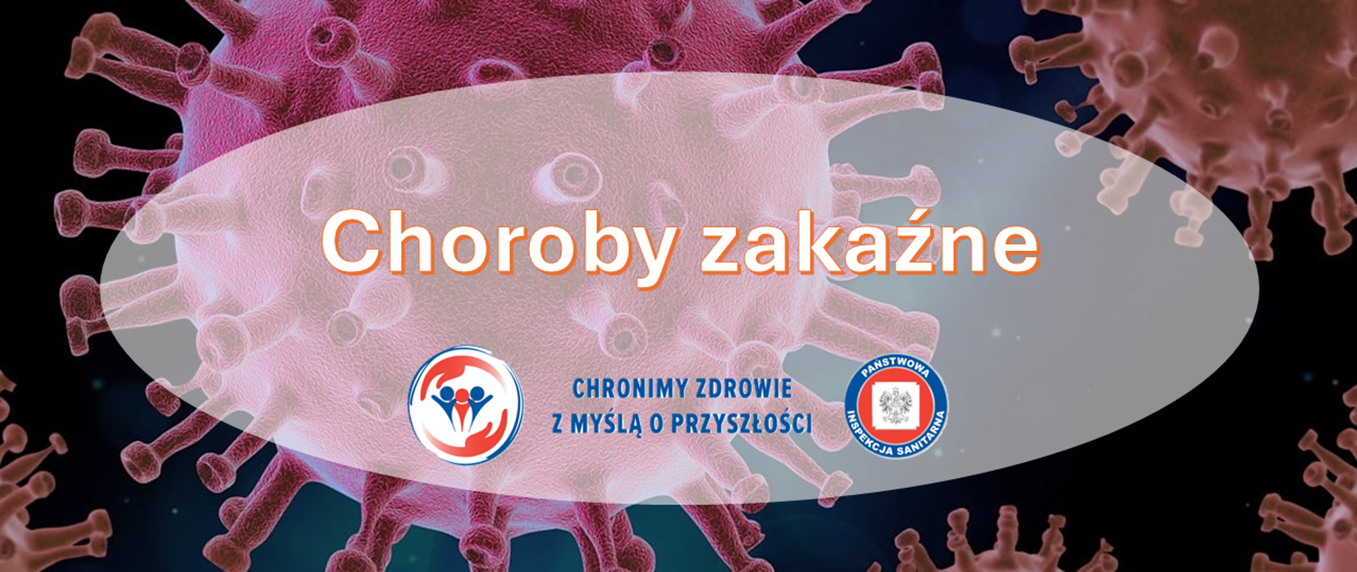 Grafika przedstawiająca powiększony obraz wirusów w odcieniach różu i fioletu na ciemnym tle. Na środku znajduje się napis ‘Choroby zakaźne’, a pod nim widoczne są dwa logotypy Państwowej Inspekcji Sanitarnej wraz z hasłem: "Chronimy zdrowie z myślą o przyszłości"
