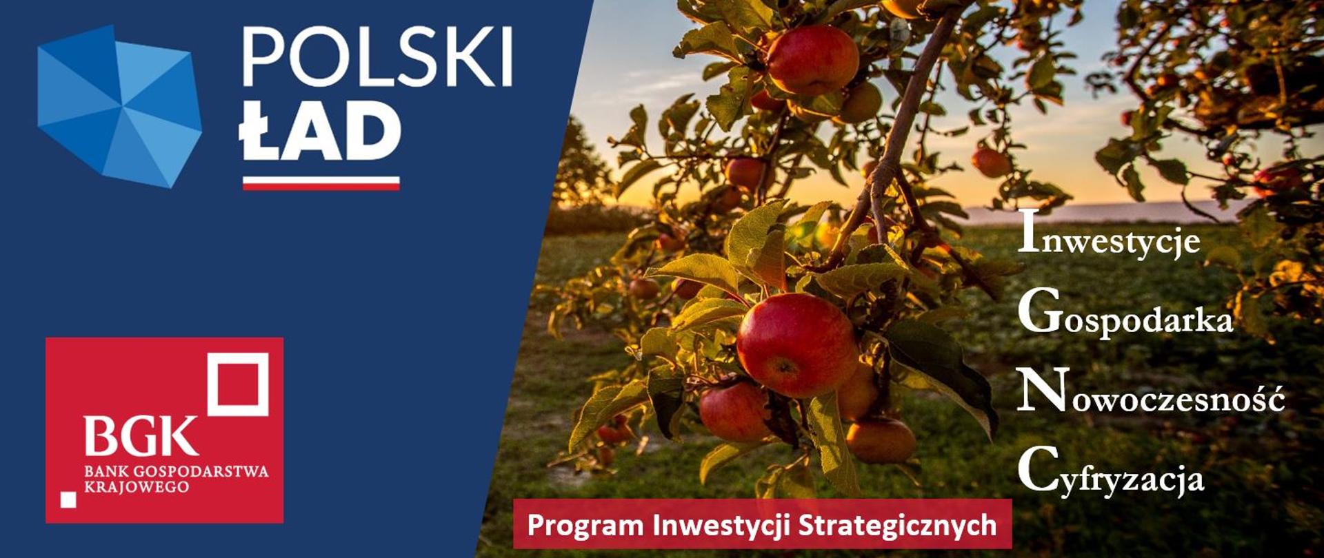 Na zdjęciu grafika - po lewej stronie widać sad pełen jabłek i jedną z gałęzi. Oraz napisy: inwestycje, gospodarka, nowoczesność, cyfryzacja. Po lewej stronie niebieski blok z logo Polskiego ładu i logo BGK.