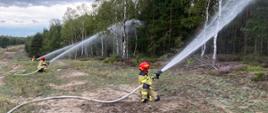 Strażacy podają wodę na las