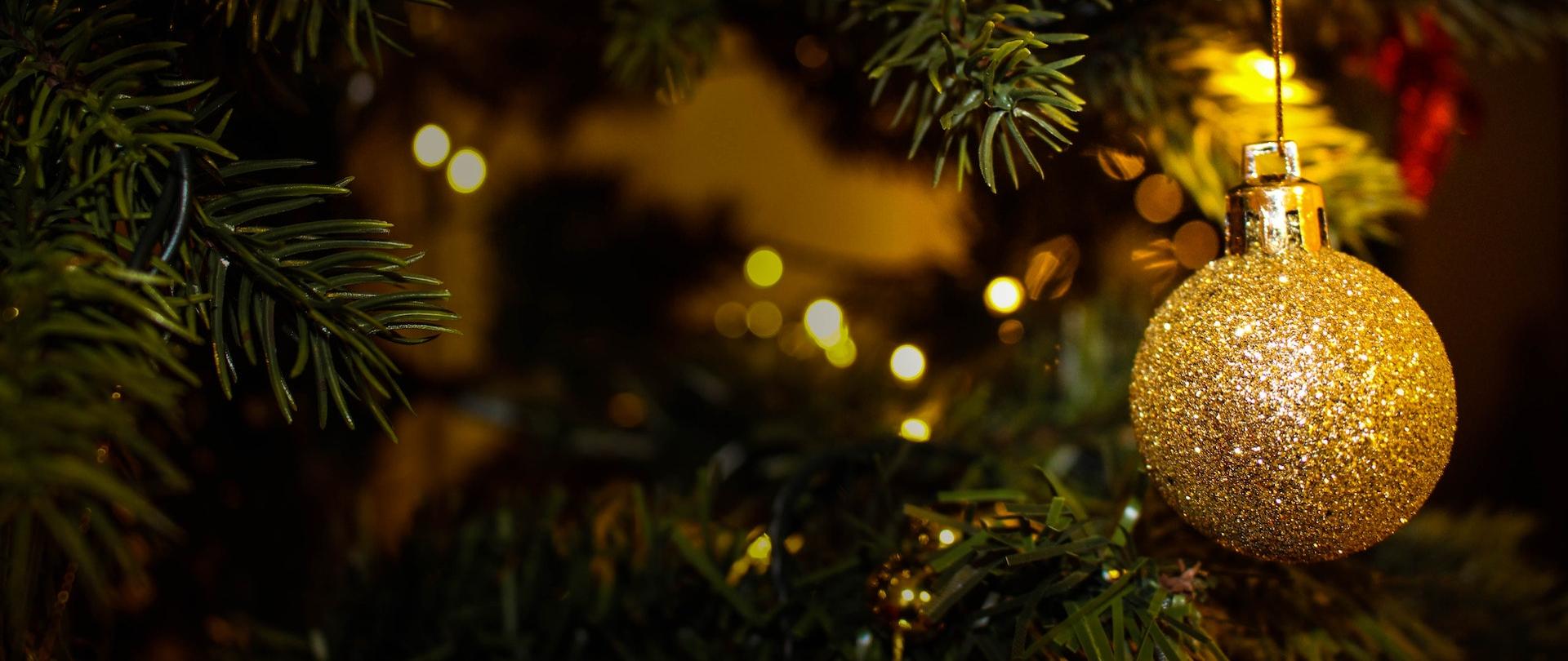 Zdjęcie przedstawiające zbliżenie na gałązki świątecznej choinki. Na jednek z gałązek wisi złota bombka.