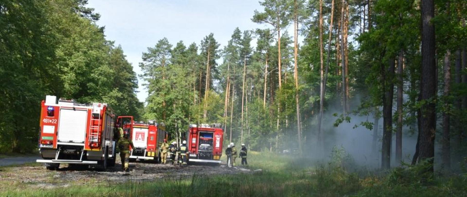 Symulowany pozar lasu