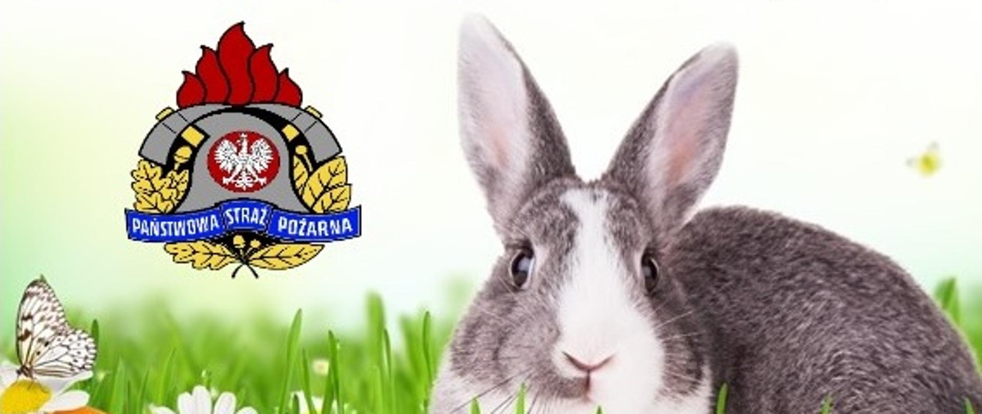 Zdjęcie przedstawia życzenia komendanta powiatowego z okazji Świąt Wielkanocnych, na dole królik na trawie, cztery pisanki i logo państwowej straży pożarnej