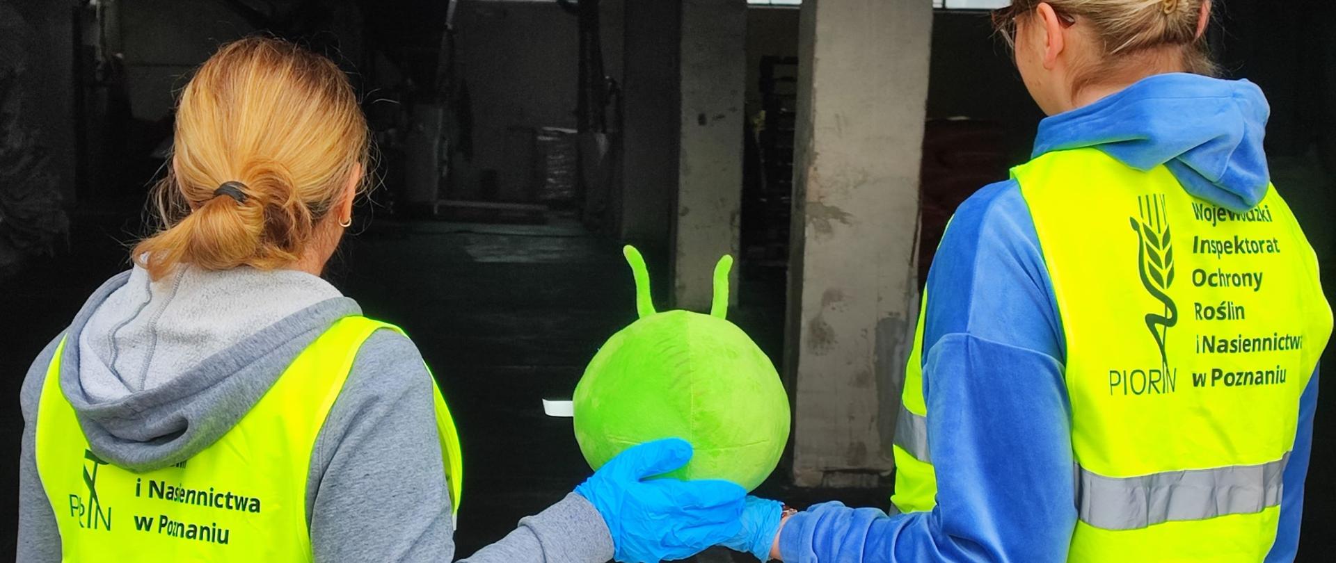 Kontrola zaprawionego materiału siewnego w obecności Pesty'ego