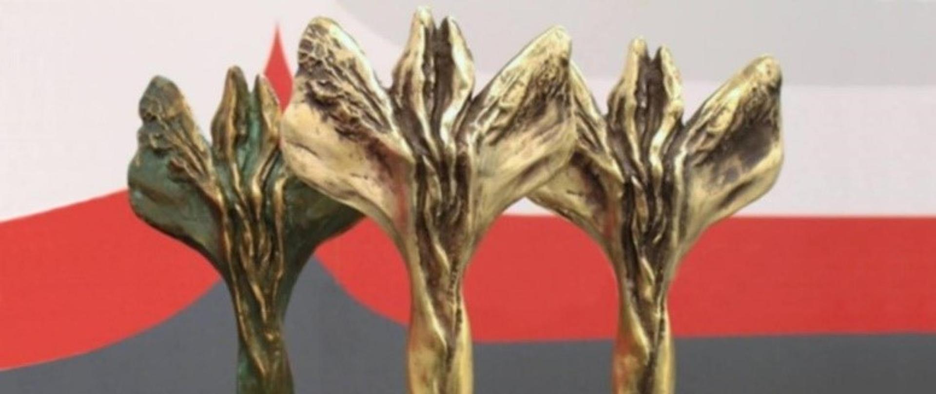 Na zdjęciu znajdują się trzy statuetki wręczane na gali zamykającej konkurs od nazwą Społecznik Roku 2023. W tle logo Lubuskiego Urzędu Wojewódzkiego. Statuetki symbolizują wewnętrzną siłę dobrego człowieka, wypływającą z głębi serca. Zaprojektowała je pani Zofia Bilińska – gorzowska rzeźbiarka. Pani Zofia wykonała projekty charytatywnie, ponieważ, jak mówi docenia zaangażowanie społeczników, których pragnie nagrodzić Wojewoda Lubuski, ich wewnętrzny płomień, charakter i dobroczynność. Jest to jej własny kawałek serca w pomoc drugiemu człowiekowi.