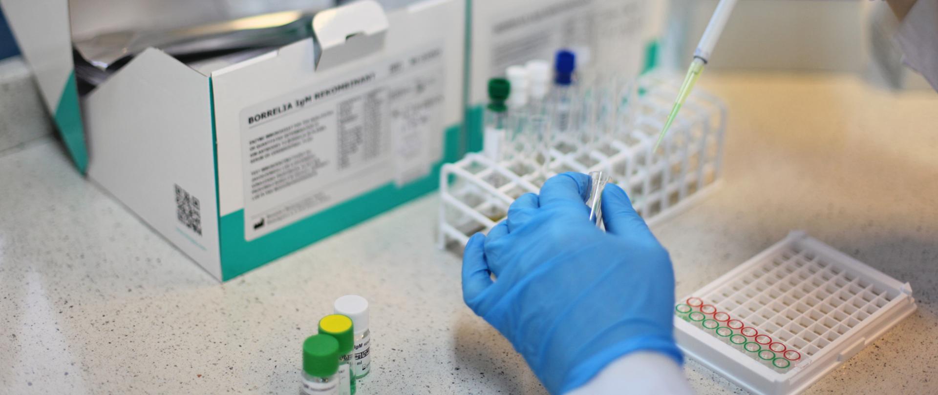 zdjęcie dotyczące kampanii w sprawie kleszcze, na zdjęciu badanie w kierunku boreliozy