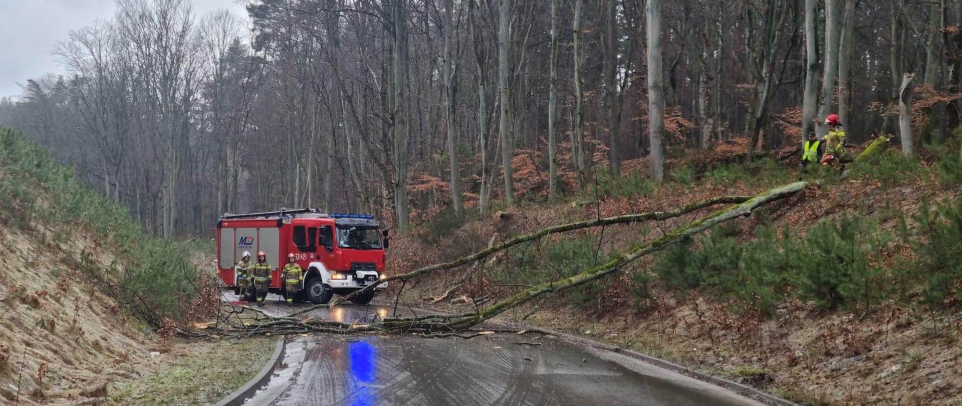 Drzewo przewrócone na drogę strażacy stoją samochodem gaśniczym i udają się w kierunku obiektu.