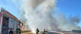 Pożar zboża na pniu w miejscowości Skrzetusz