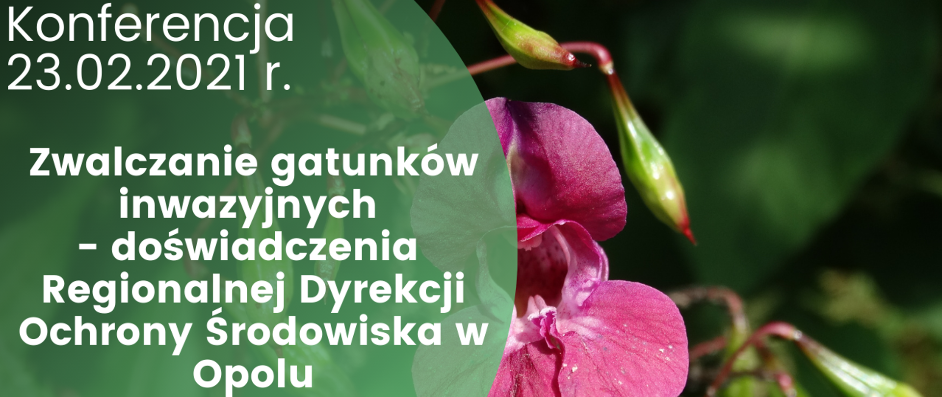 Napis: Konferencja pt. „Zwalczanie gatunków inwazyjnych – doświadczenia Regionalnej Dyrekcji Ochrony Środowiska w Opolu” na zielonym tle