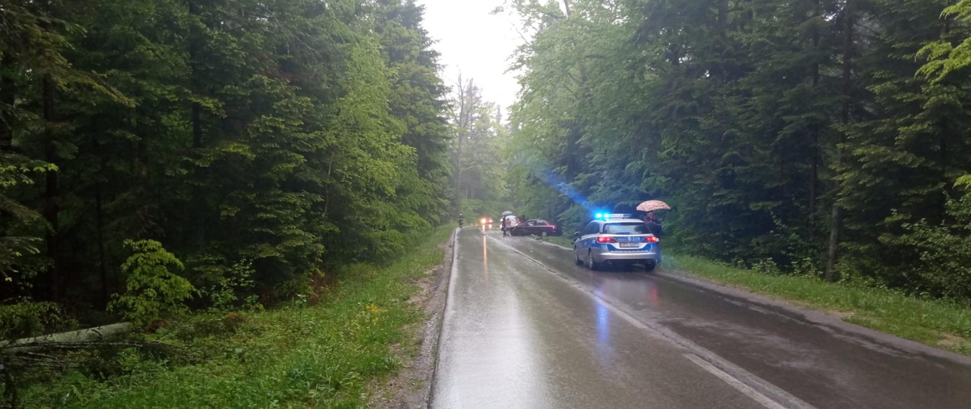 Zdjęcie przedstawia drogę powiatową gdzie doszło do wypadku. Po prawej stronie widać radiowóz policyjny a za nim, w głębi uszkodzone w wyniku zderzenia auta.