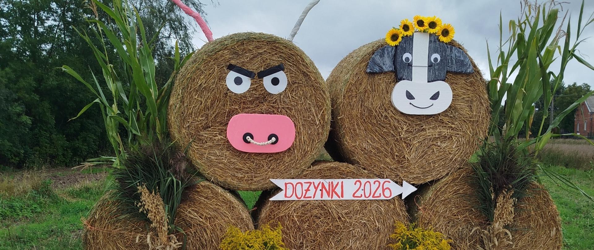 Dekoracja dożynkowa z bel słomy przedstawiająca dwie postacie, otoczona kukurydzą, kwiatami i tabliczką „Dożynki 2026”.
