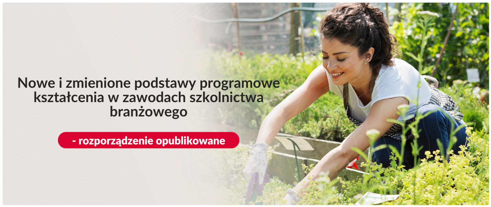 Grafika z napisem: Nowe i zmienione podstawy programowe kształcenia w zawodach szkolnictwa branżowego - rozporządzenie opublikowane. Obok zdjęcie uśmiechniętej kobiety pracującej w ogrodzie.