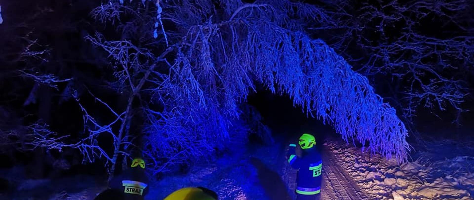 Zdjęcie przedstawia zaśnieżoną drogę nad którą zwisa drzewo pochylone od ciężaru szadzi i śniegu. Na zdjęciu widać strażaków w czarnych ubraniach specjalnych oraz w żółtych hełmach stojących na drodze. zdjęcie wykonano nocą. 