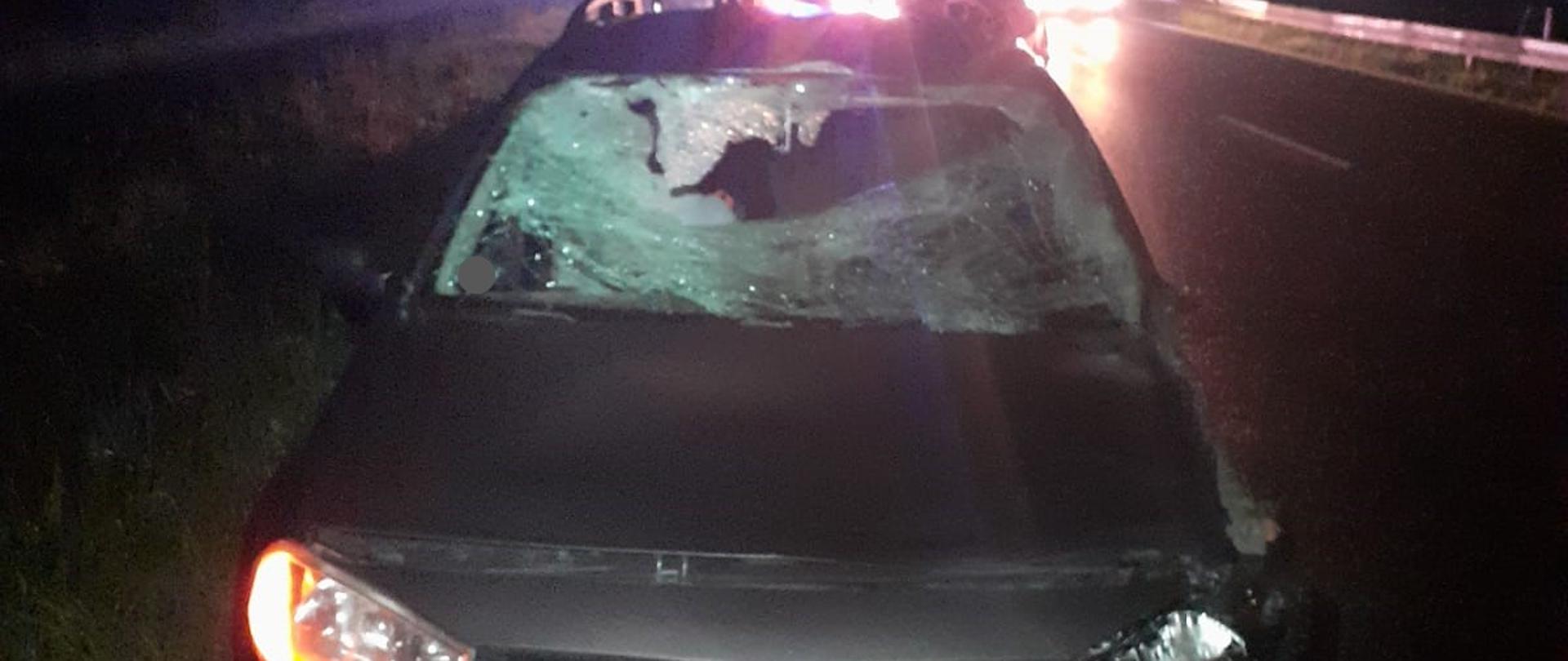 Zdjęcie wykonane w porze nocnej przedstawia stojący na poboczu drogi krajowej samochód osobowy z uszkodzoną przednią częścią, wybitą szybą po zderzeniu z sarną. W tle widoczne światła nadjeżdżających pojazdów.
