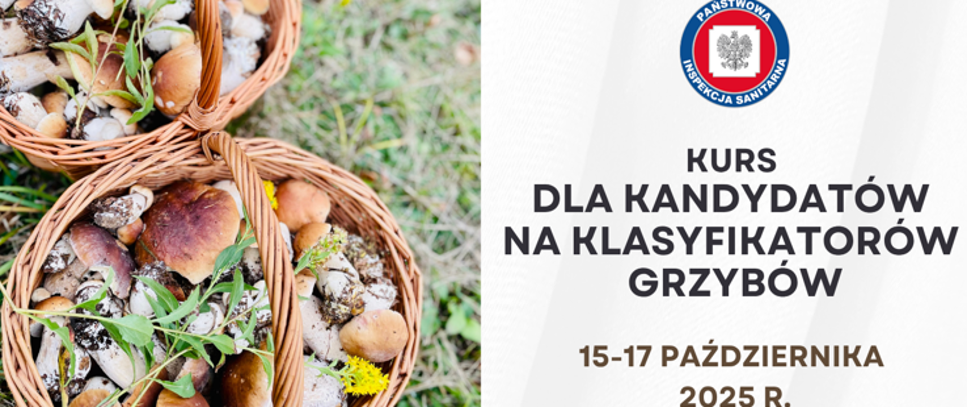 Kurs na klasyfikatora grzybów 2025