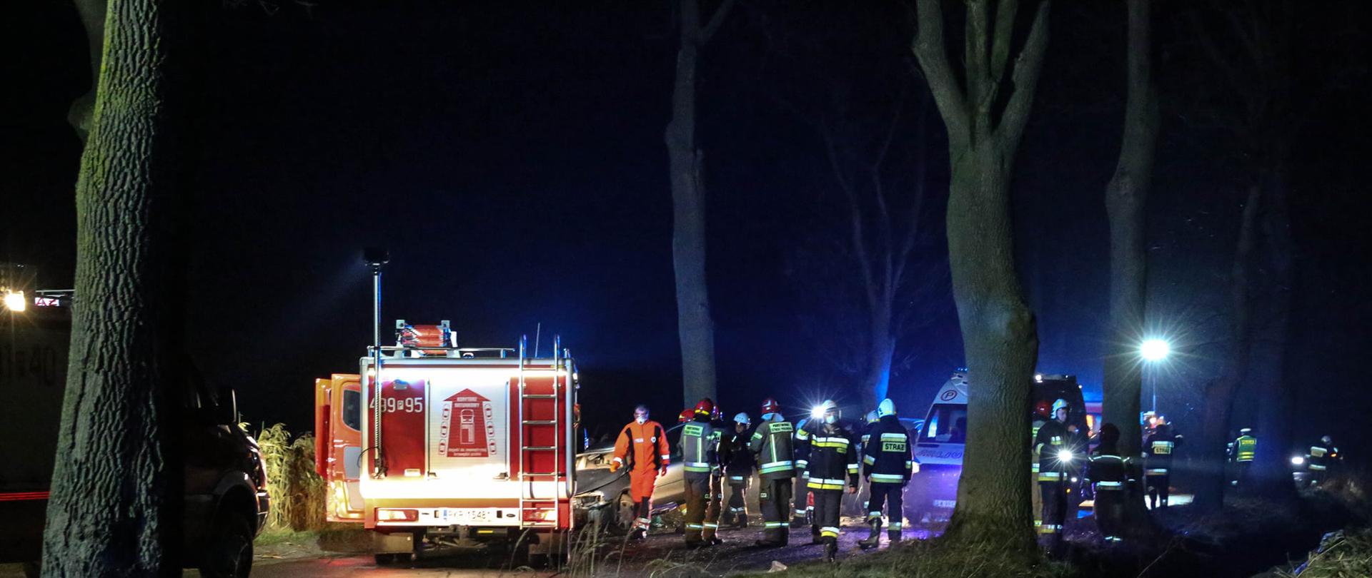 Na jezdni duża ilość strażaków i ratownicy medyczni realizujący działania na miejscu wypadku. Pojazdy służb ratunkowych blokują całkowicie drogę. Teren działań oświetla sprzęt znajdujący się na wyposażeniu pojazdów pożarniczych. W oddali widać pojazd, który zatrzymał się na drzewie. 