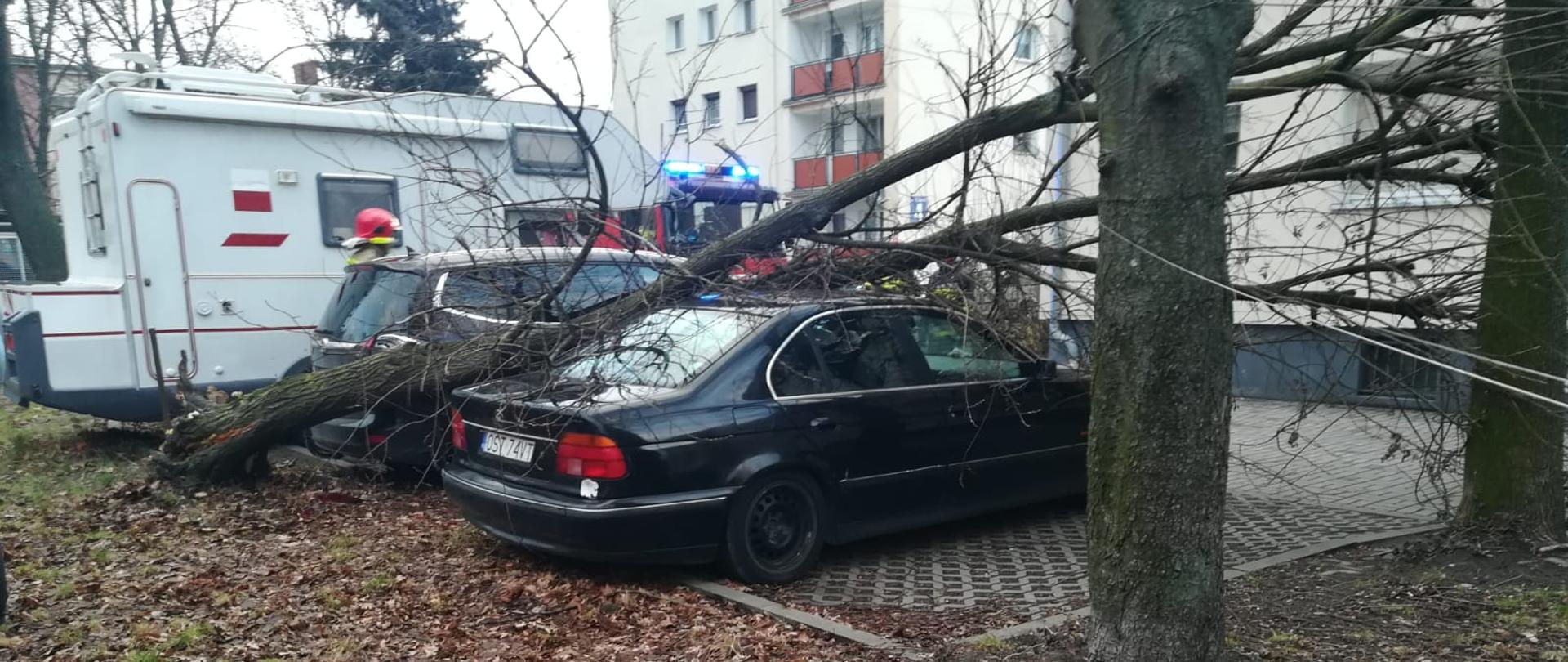 Niewielkie drzewo, w wyniku silnego wiatru, przewróciło się na zaparkowany na osiedlu samochód osobowy. W tle widoczny samochód pożarniczy oraz strażaków Państwowej Straży Pożarnej.
