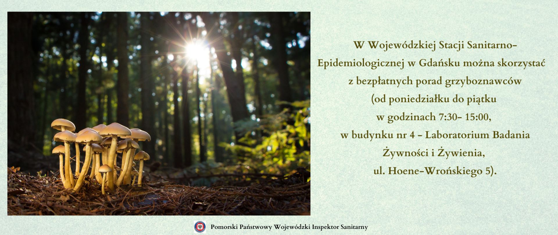 porad grzyboznawców