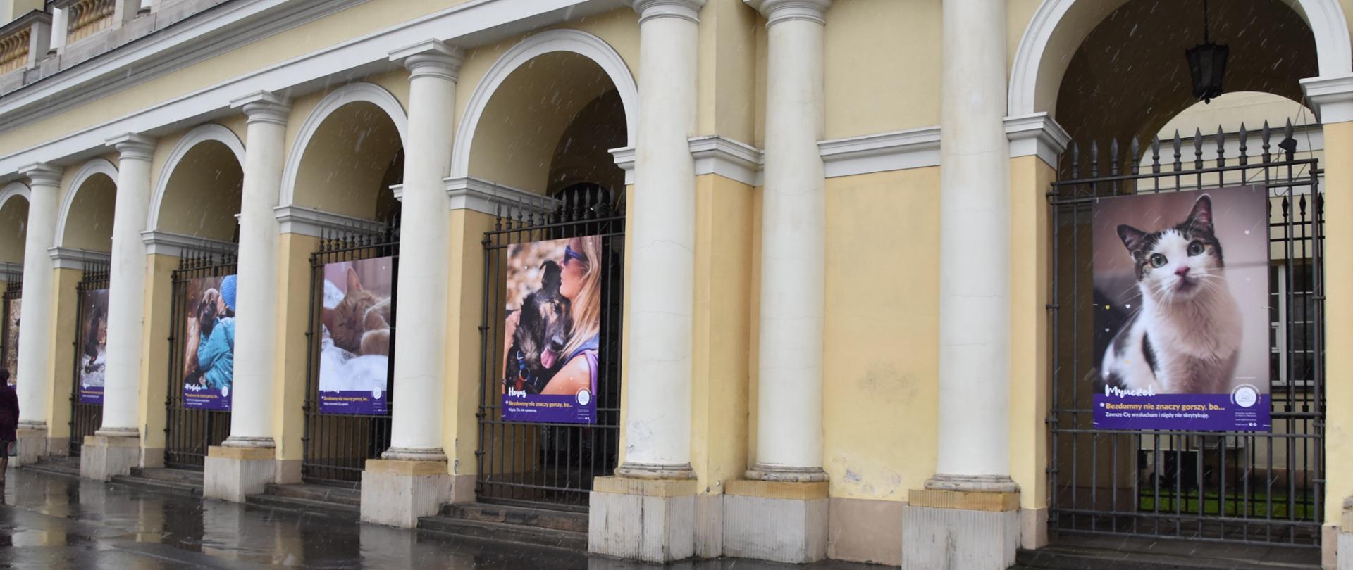 Na płocie między kolumnami znajdują się zdjęcia zwierząt (psy, koty)