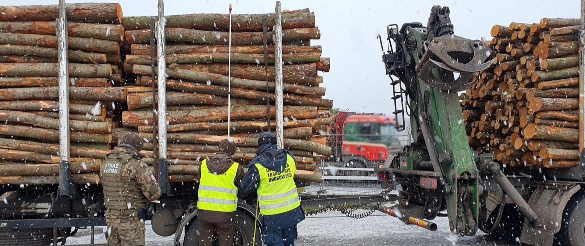 Umundurowany inspektor wielkopolskiej Inspekcji Transportu Drogowego wraz z funkcjonariuszami Straży Leśnej stoi obok zespołu pojazdów przewożącego drewno. Mundurowi sprawdzają wysokość przyczepy z ładunkiem.