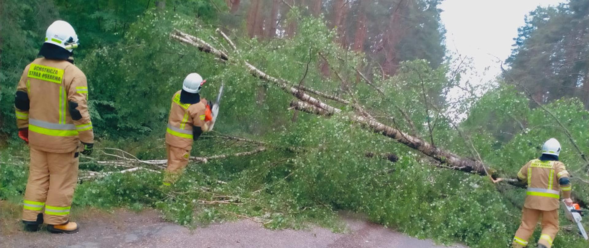Niespokojny dzień w powiecie szczecineckim