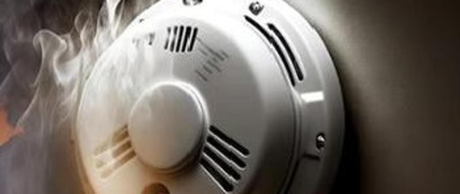 Czujka na straży Twojego bezpieczeństwa!