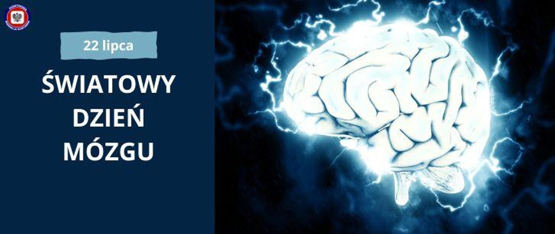 Po prawej na granatowym tle grafika przedstawiająca mózg otoczony jasnymi impulsami elektrycznymi. Po lewej na ciemnogranatowym tle biały napis "Światowy Dzień Mózgu". Powyżej na jasnoniebieskim nieregularnym polu jasny napis 22 lipca. W lewym górnym rogu logo Państwowej Inspekcji Sanitarnej.