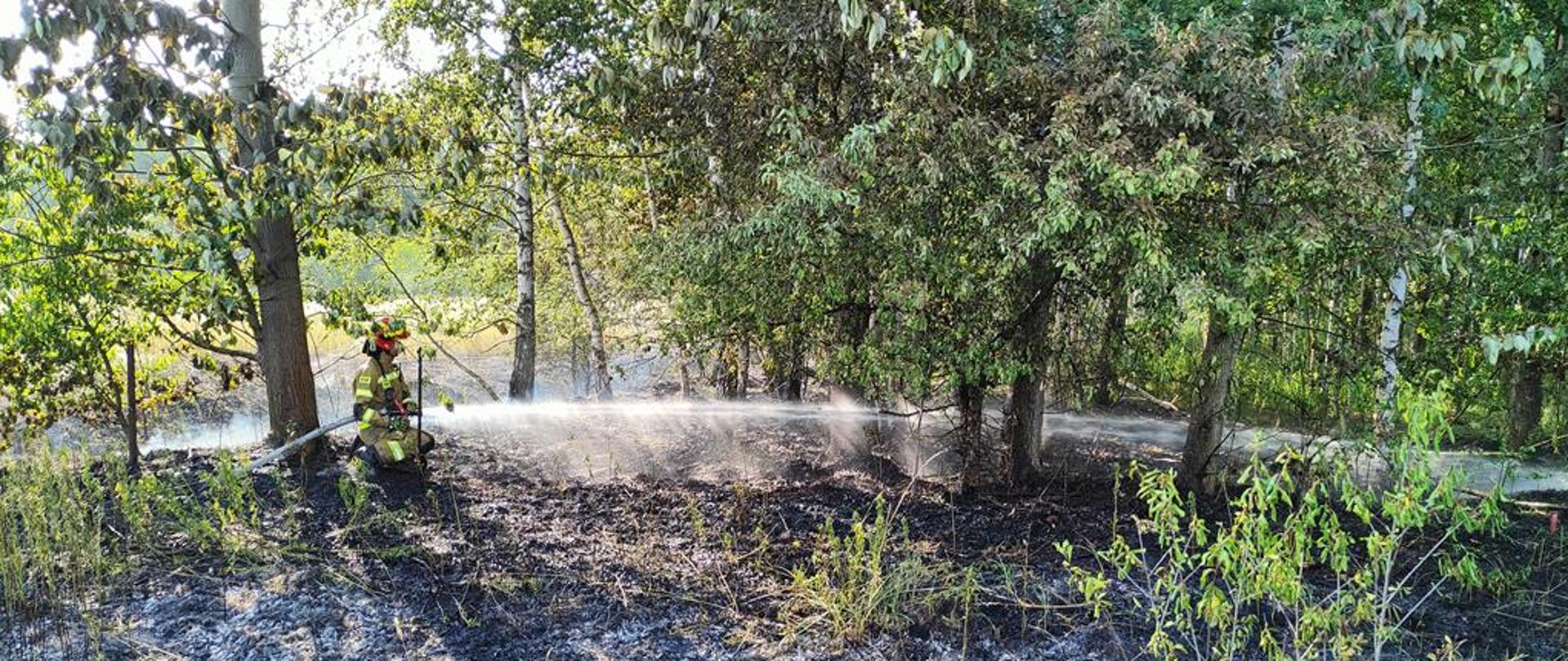 Działania ratowniczo-gaśnicze strażaków z powiatu staszowskie.
