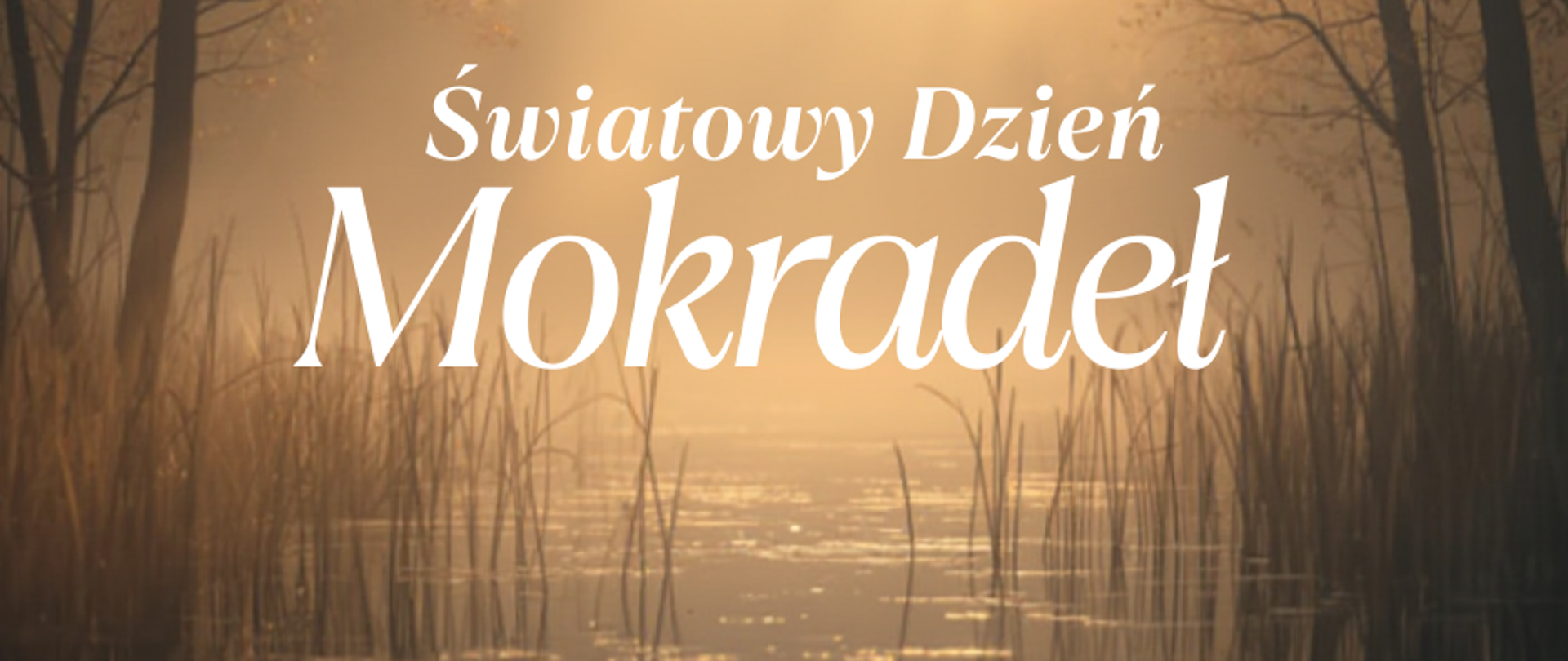 Światowy dzień Mokradeł