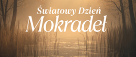 Światowy dzień Mokradeł