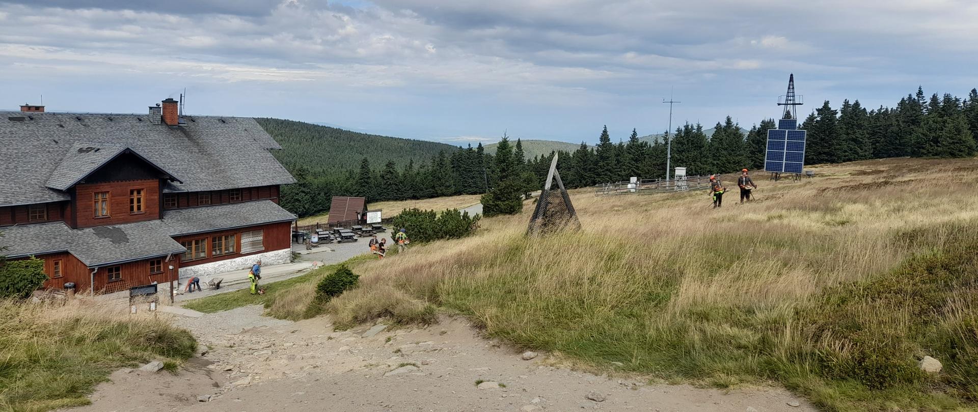 Realizacja działań ochronnych - Hala pod Śnieżnikiem przed koszeniem