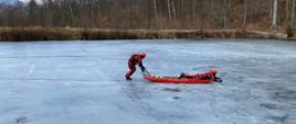 Na zamarzniętym stawie strażacy ćwiczą ratowanie ludzi. Dwóch strażaków przebranych w kombinezony. Jeden leży na saniach lodowych a drugi go pcha.