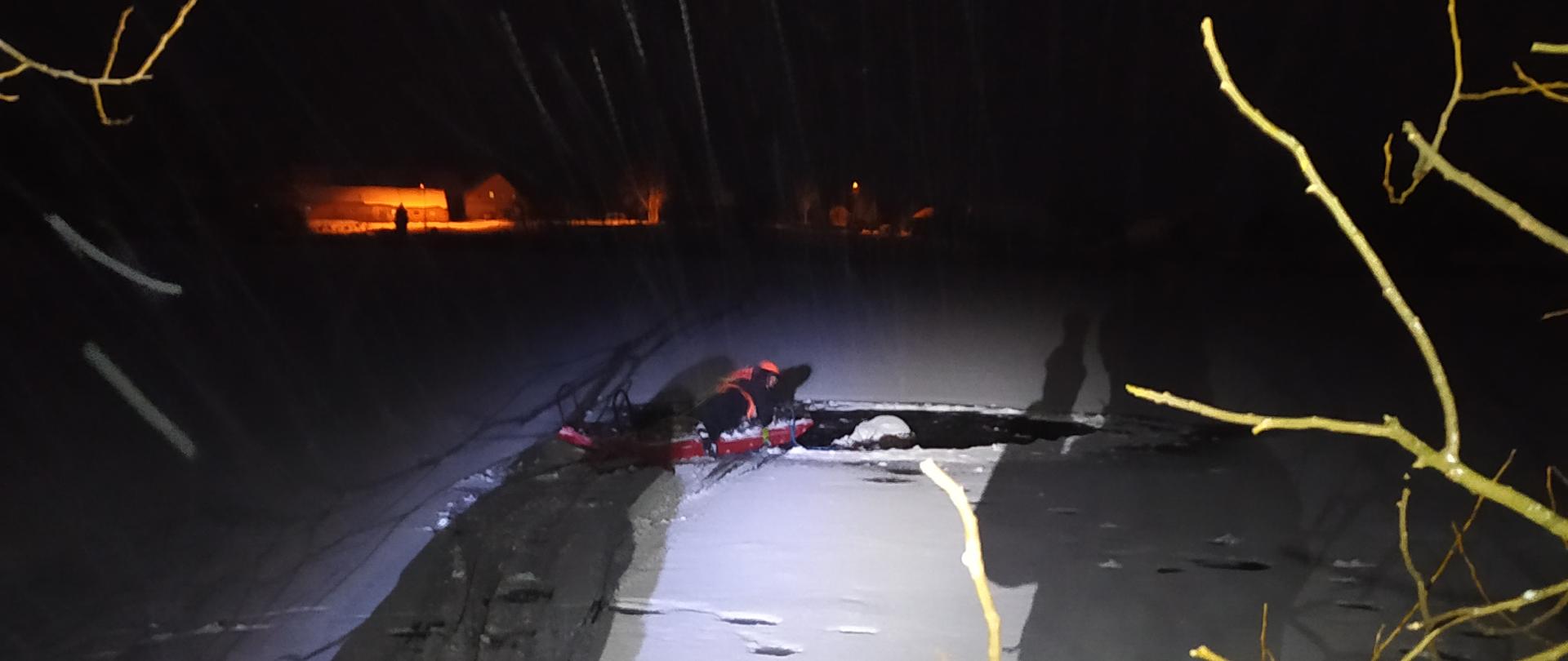 Na zdjęciu strażacy na lodzie wydobywają łosia z przerębli. Dookoła panuje noc.