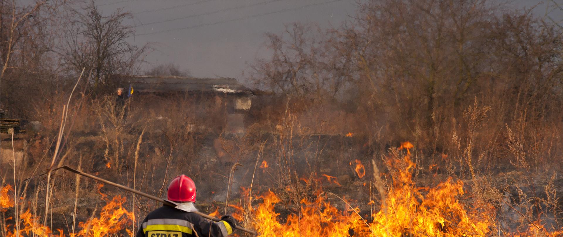 Wypalanie traw. Pożar.