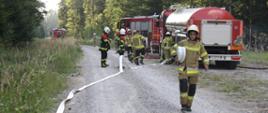 Na drodze leśnej strażacy OSP i PSP rozwijają węże gaśnicze. W tle widoczne strażackie wozy bojowe oraz las.