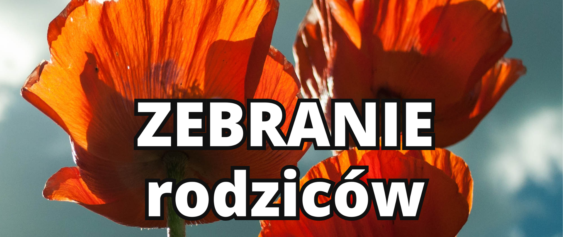 Na niebieskim tle trzy czerwone maki i napis "Zebranie rodziców". W górnym lewym rogu napis Państwowa Szkoła Muzyczna I stopnia im. Ignacego Jana Paderewskiego w Tarnowskich Górach. W prawym górnym rogu logo szkoły . W dolnej częśći plakatu data zebrania tj. 18.09.2025 godz.18,00 