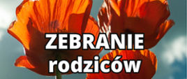 Na niebiesko-czerwonym tle napis "Zebranie rodziców"
