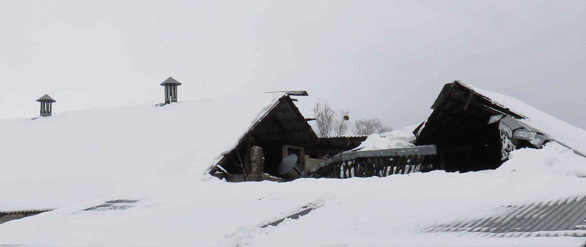Zarwany fragment ośnieżonej konstrukcji dachowej budynku inwentarskiego.