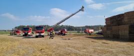 Ćwiczenia taktyczno – bojowe połączone z rozpoznaniem operacyjnym na na terenie zakładu Holpol – Compost Sp. z o.o. w Tarnowie.