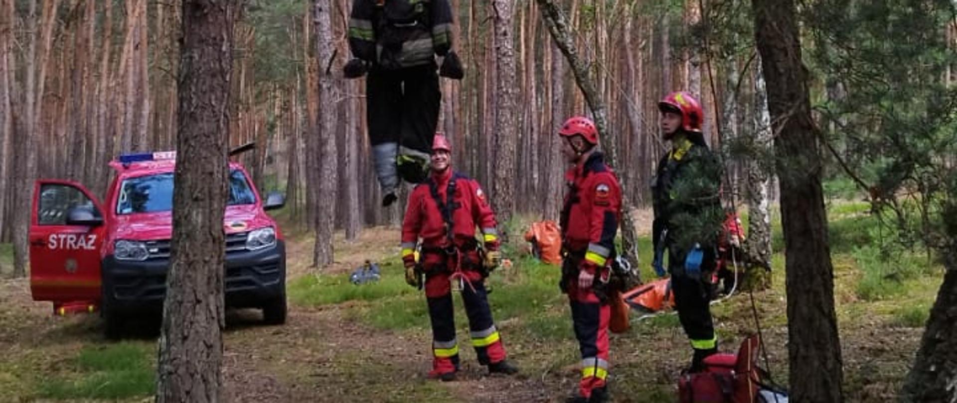 Na zdjęciu widać ratowników w kombinezonie wysokościowym. Zdjęcie wykonane w lesie. Widać drzewa. Zdjęcie zrobione w ciągu dnia.